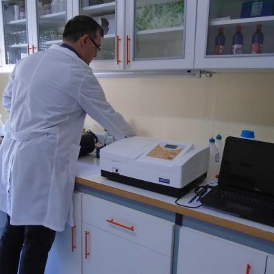 Ergasterio Analyse Elaioladou